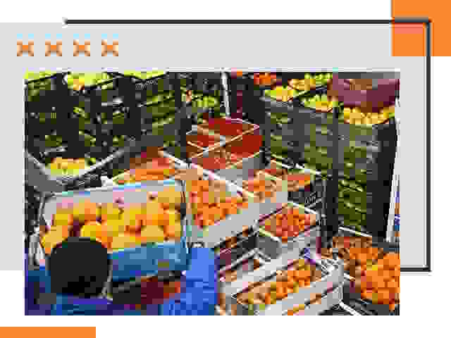Перевозка скоропортящихся продуктов в Керчи